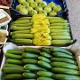 zucchine varie